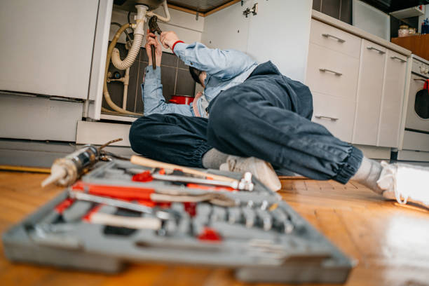 Best Clogged Drain Plumber  in Strawberry Plains, TN