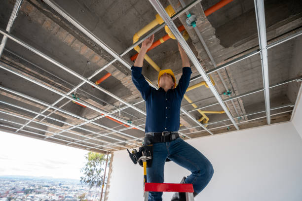 Best Leak Detection Services  in Strawberry Plains, TN