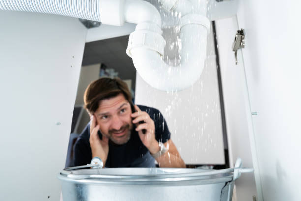 Best Emergency Plumbing Repair  in Strawberry Plains, TN