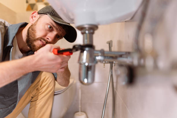 Best Commercial Plumbing Services  in Strawberry Plains, TN