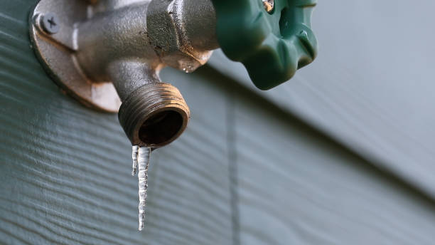 Best Water Heater Repair  in Strawberry Plains, TN