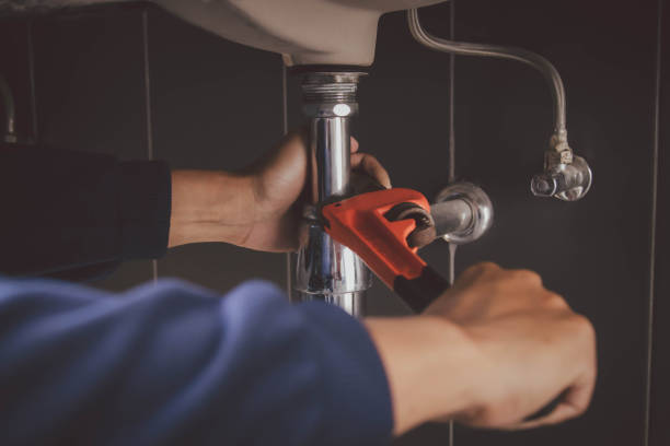 Best Plumbing Inspection Services  in Strawberry Plains, TN