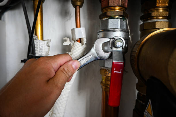 Best Septic Systems  in Strawberry Plains, TN